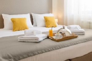 Tourist activity growth continued to slow down in February - February 2026