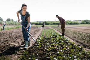 A portrait of the portuguese agriculture