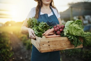 Agricultural income should increase 14.7